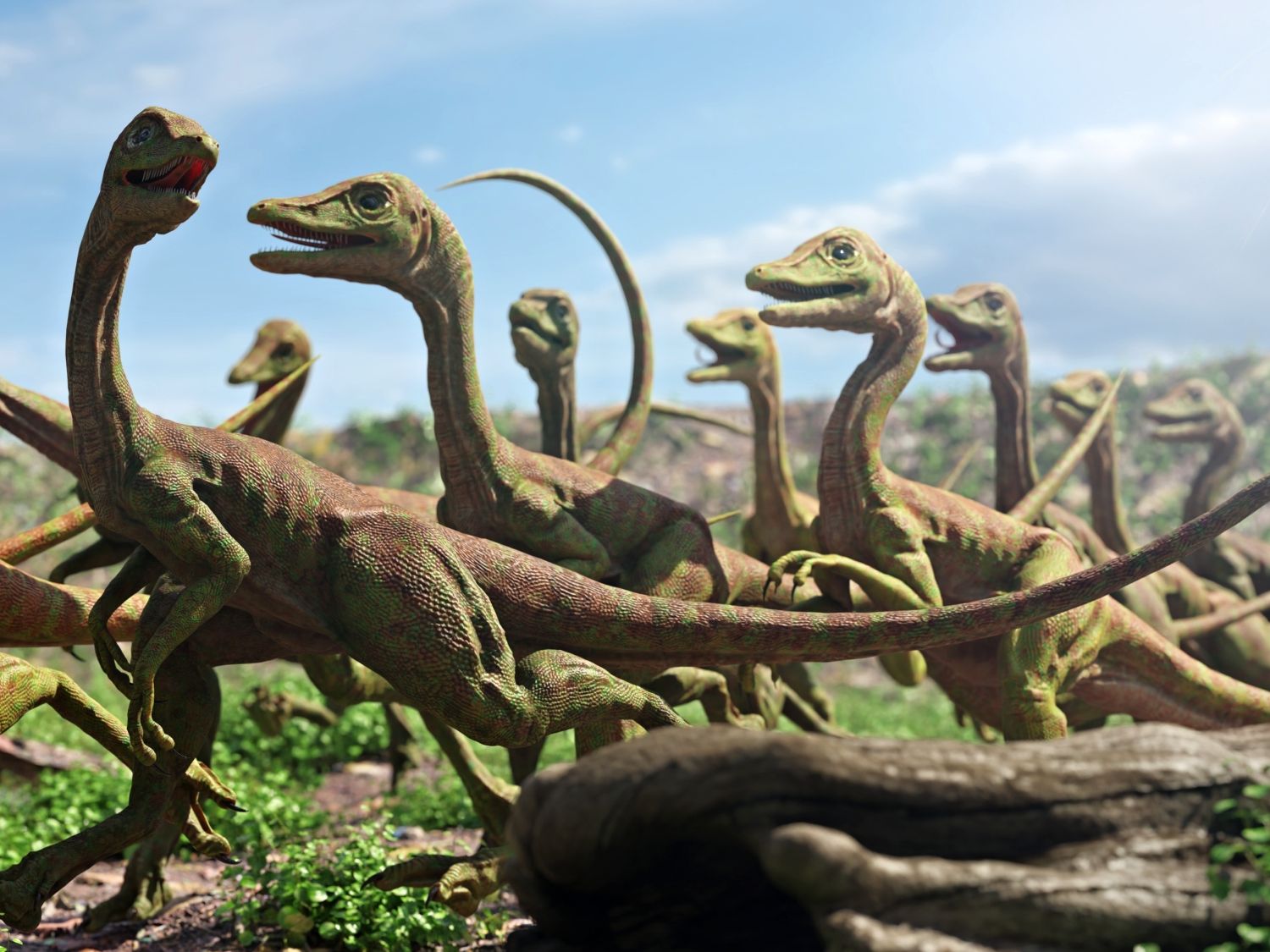Malí, rychlí a nebezpeční Compsognathus longipes v běhu v druhohorním světě.